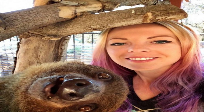 Animales y selfies ¡muy graciosos!