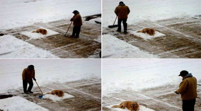 Personas que llevan la vagueza ¡hasta el extremo! (Parte I)