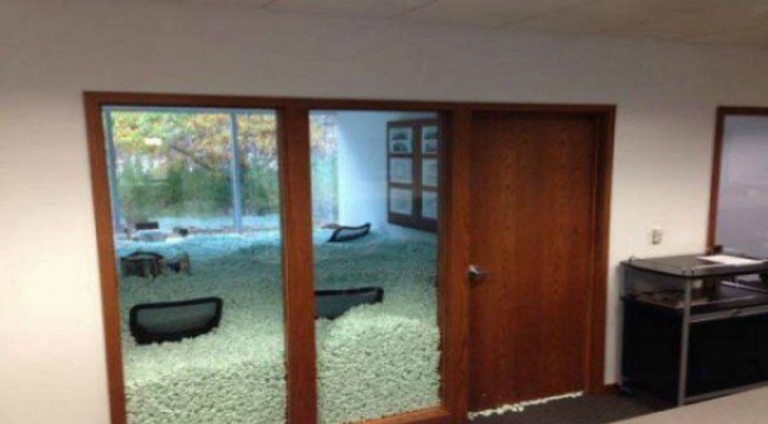 Bromas alucinantes ¡en la oficina! (Parte II)