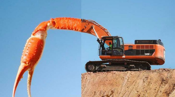 Dos fotografías fundidas en una (Parte I)