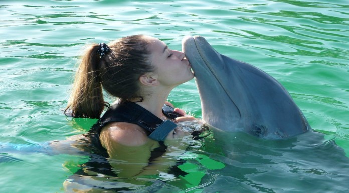 Esta chica imita ¡a un delfín!