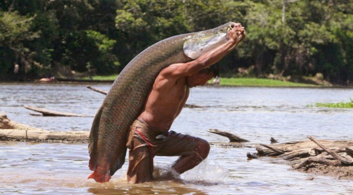 Imágenes extrañas que no se ven todos los días (Parte I)