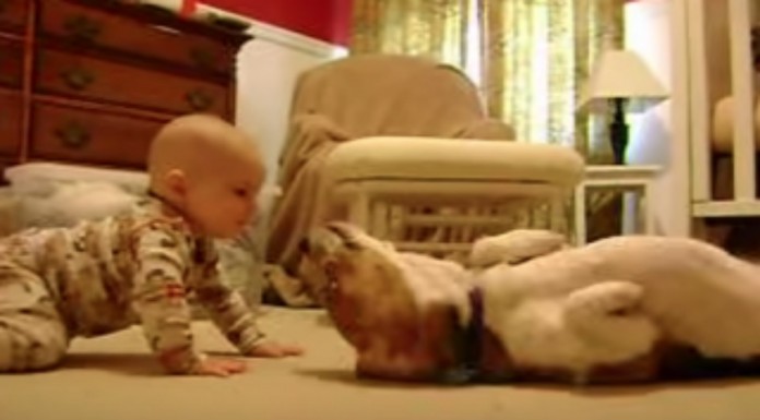 Un bebé y un perro ¡super adorables!