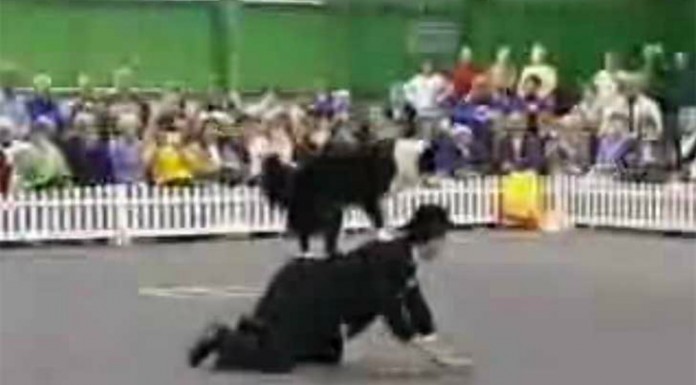 Charlie Chaplin y ¡su perro bailarín!