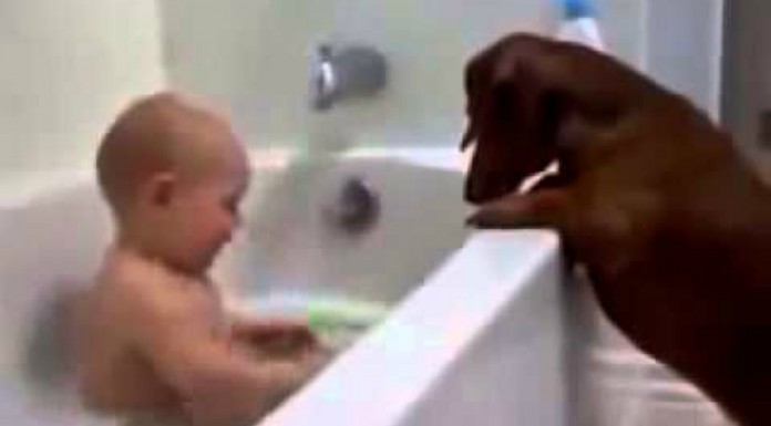 Este bebé juega con sus perros mientras se baña