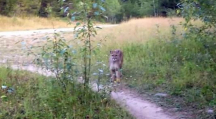 Este excursionista se encuentra con una sorpresa ¡inesperada!