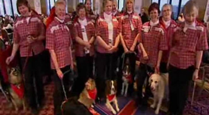 Perros y abuelas ¡coreografía desastrosa!