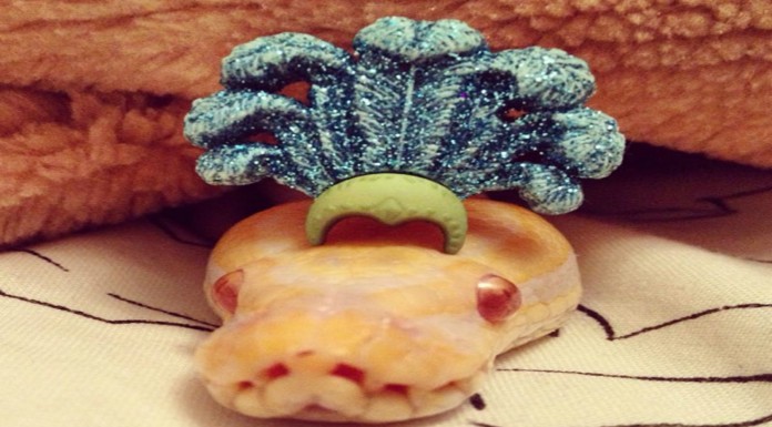 Serpientes ¡con sombrero! (Parte II)