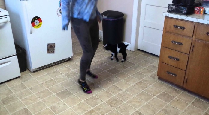 Cabrita ¡dando saltitos!