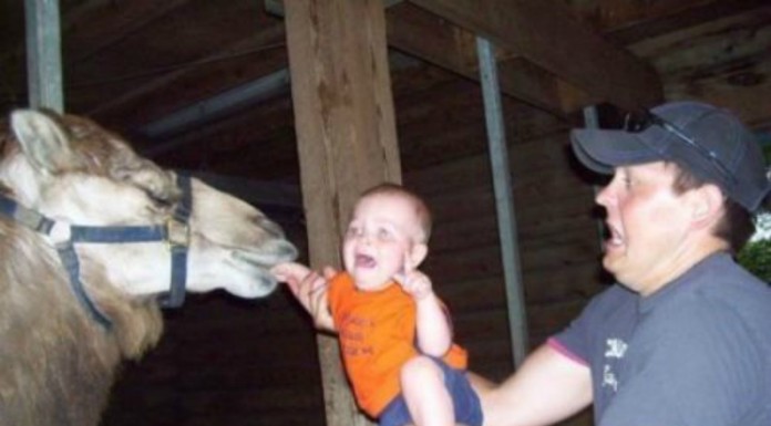 Candidato a padre del año…