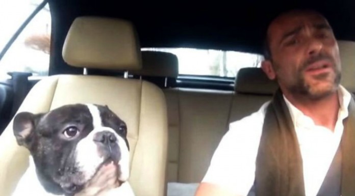 Cantantes ¡profesionales!