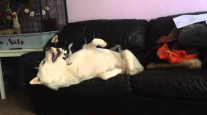 Cuando a tu pareja le duele la cabeza…