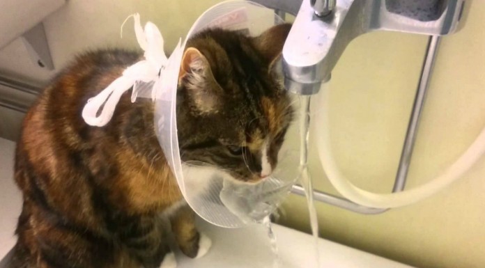 De algo malo ¡saca lo positivo!