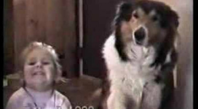 El perro que posa cuando le dicen ¡patata!