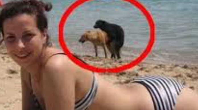 Fails y más fails ¡DIVERTIDÍSIMO!