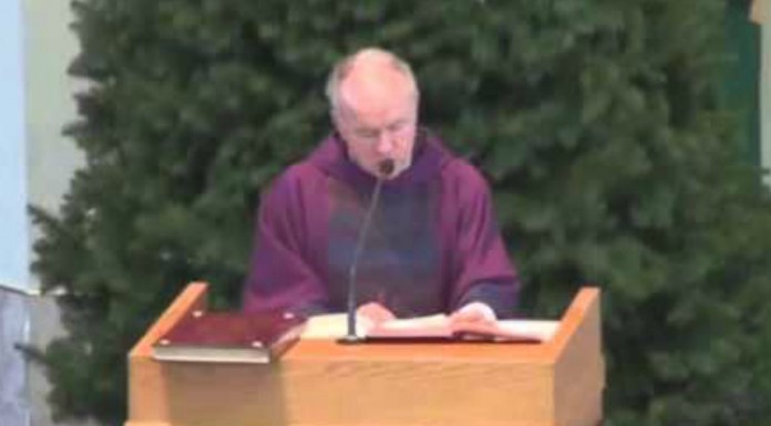 Los árboles de Navidad ¡los carga el diablo!