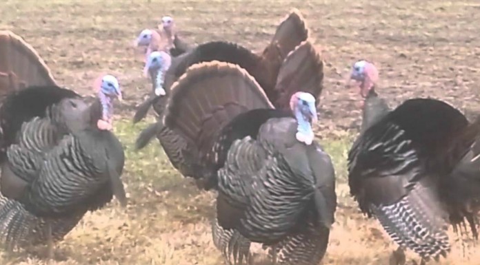 No te pierdas la conversación de estos pavos