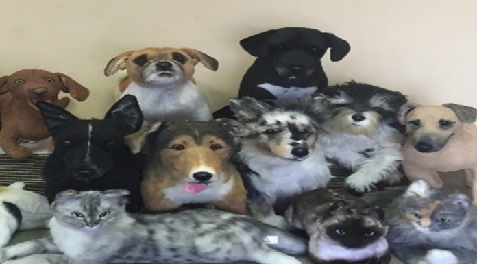 Peluches que son ¡idénticos a tus mascotas! (Parte II)