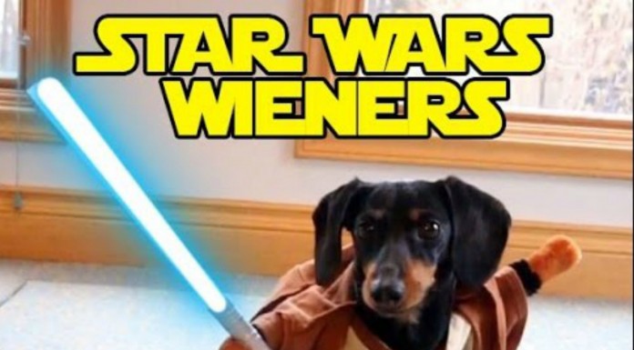 Perros envueltos en una batalla Star Wars