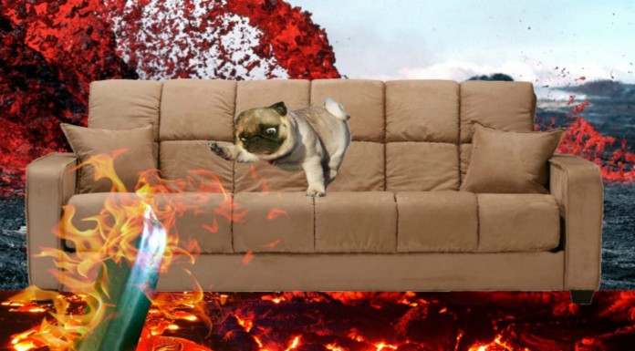 Pug photoshopeado (Parte II)