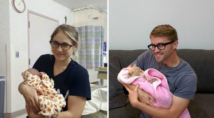 Recrea fotos ¡utilizando un gato!