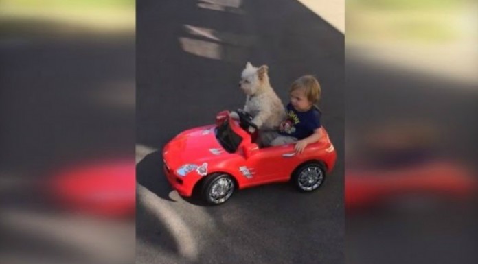 Un bebé bien acompañado ¡en su coche rojo!
