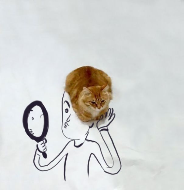 meme-foto-gato-dibujos-divertidos-1