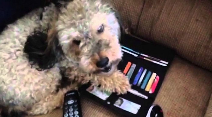 ¡A mí nadie me roba!