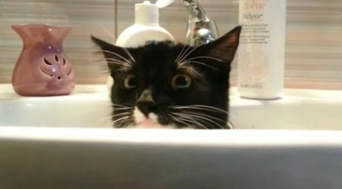 ¡Quiero mi momento de privacidad!