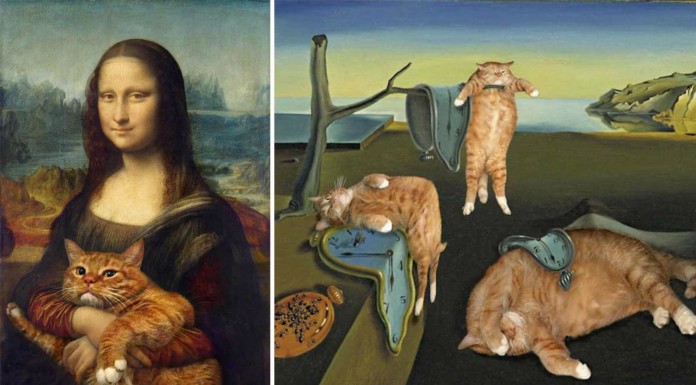 Arte del gato (Parte I)