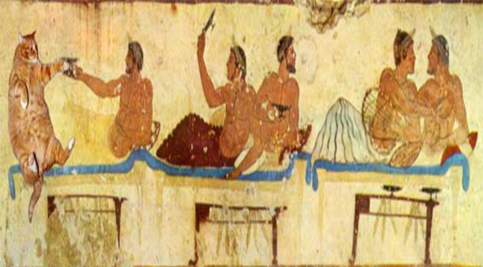 Arte del gato (Parte II)