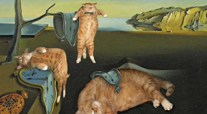 Arte del gato (Parte III)