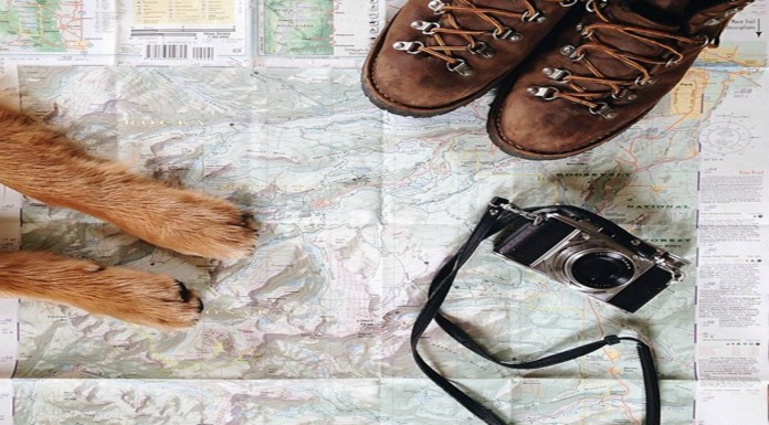 El mejor compañero de viaje (Parte II)