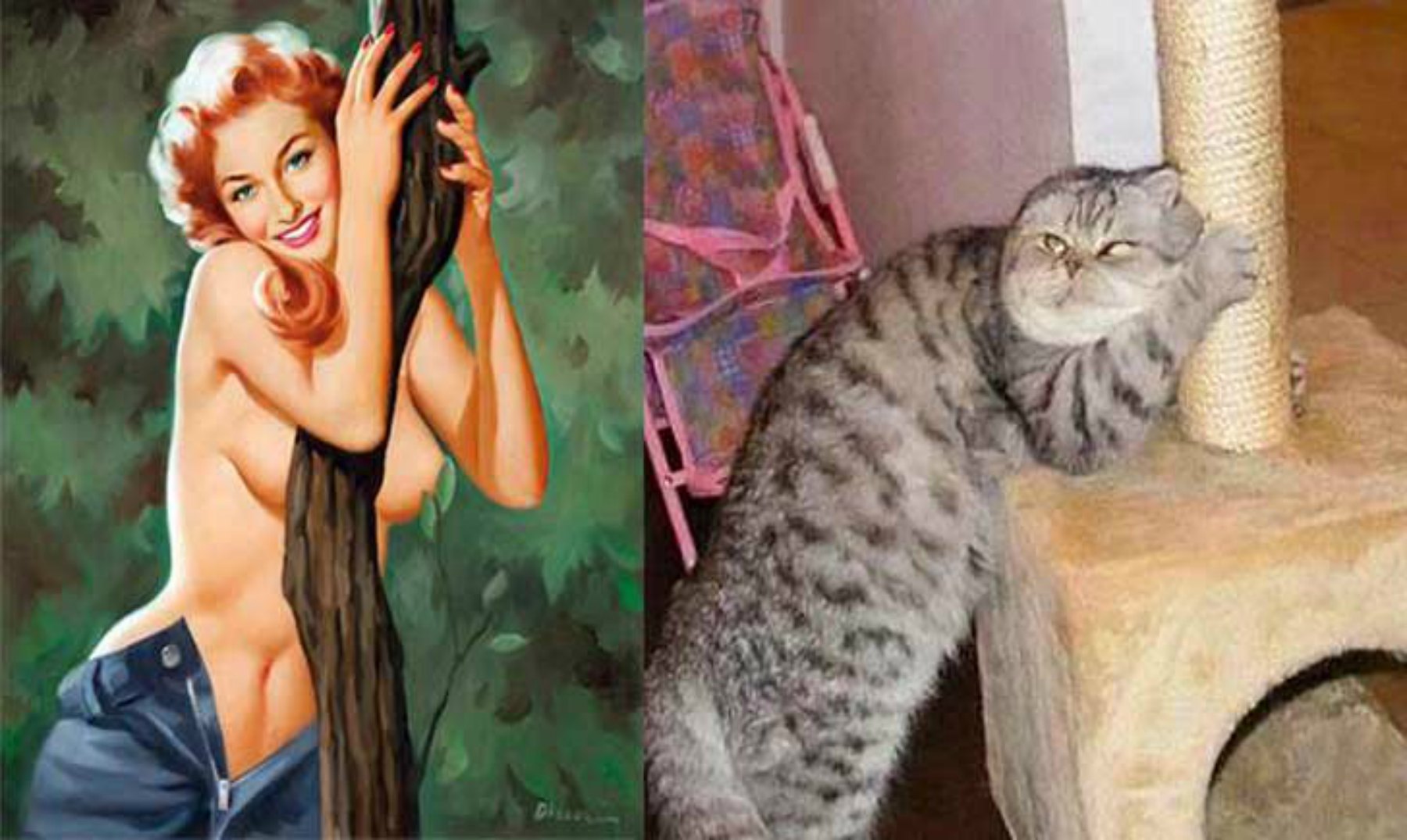 Жена кошка мем. Кошки в стиле пин ап. Кот и бабы. Девушка кот пин ап. Девушка с котом.
