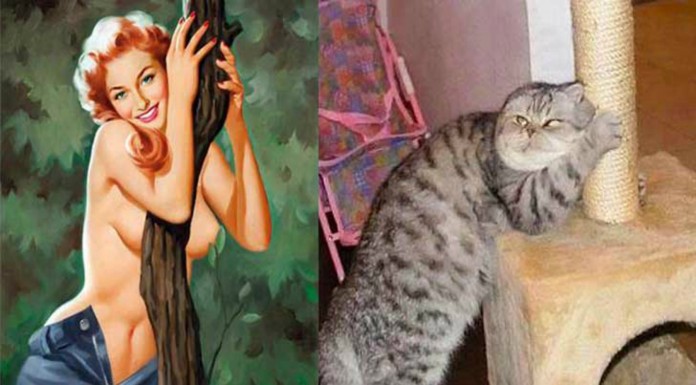 Gatos como chicas ¡Pin Up! (Parte II)