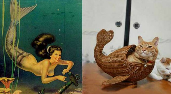 Gatos como chicas ¡Pin Up! (Parte III)