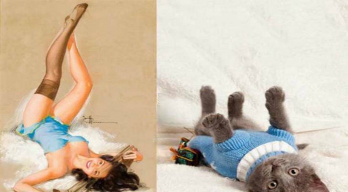Gatos como chicas ¡Pin Up! (Parte IV)