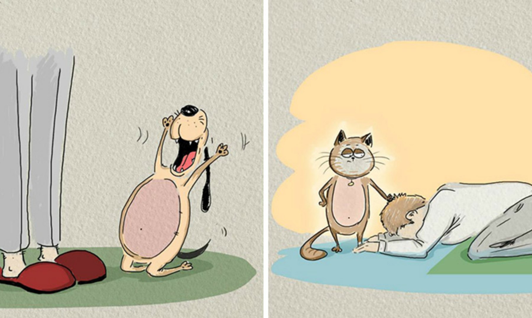 Люди против кошек. Разница между кошкой и собакой. Карикатуры кошек и собак. Смешные иллюстрации собак и кошек. Собаки лучше котов.
