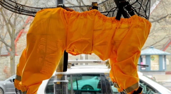 Perros que también llevan pantalones (Parte I)