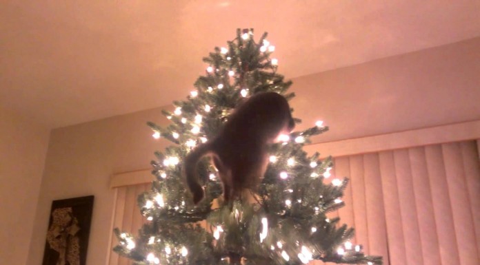 ¿Un simple árbol de Navidad?