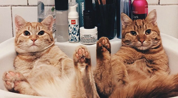 2 hermanos ¡inseparables!