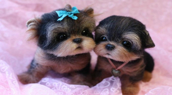 Adorables animales ¡hechos con lana! (Parte I)