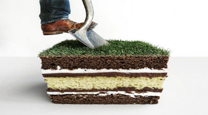 Combinaciones de imágenes ¡divertidas! (Parte II)