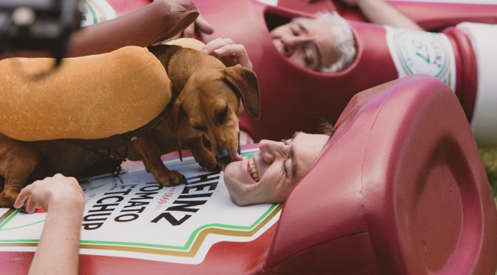 Divertida estampida de perros salchicha