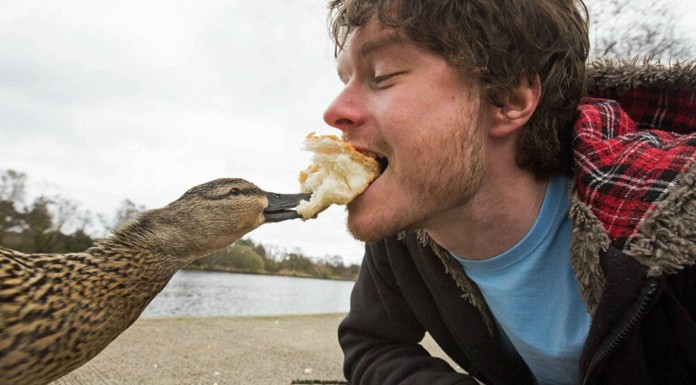 El hombre experto en selfies con animales (Parte II)