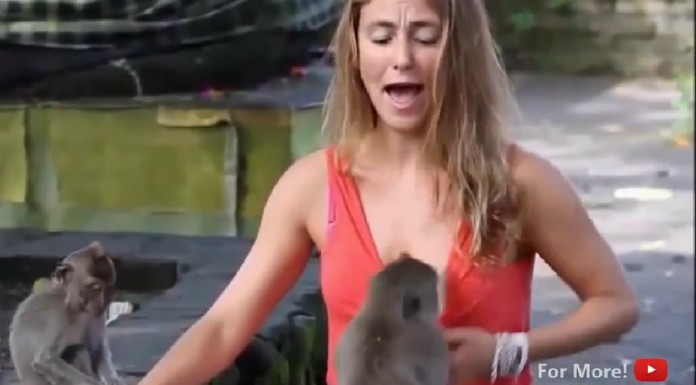 La mejor recopilación de ¡Thug Life!