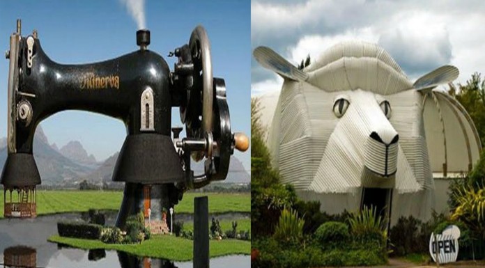 Casas originales y ¡divertidas!