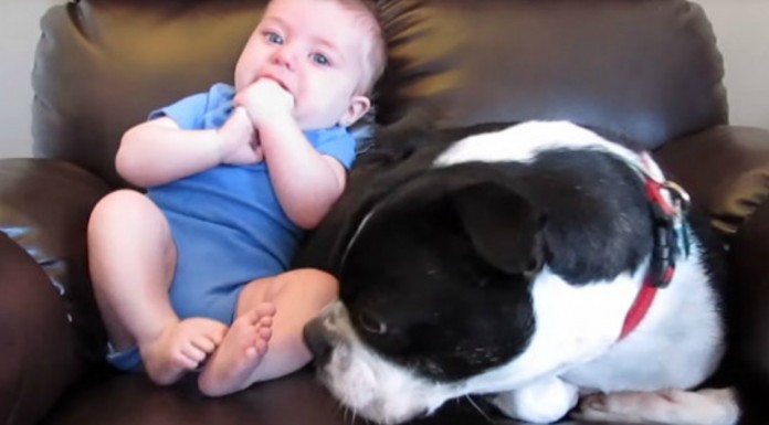 Esto huele muy mal ¡me voy!