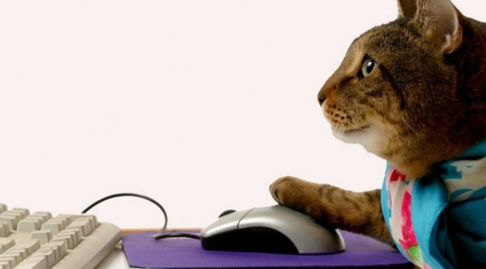 La tecnología ha cambiado la vida de los gatos