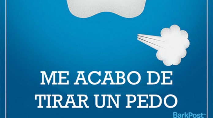 Eslóganes sobre razas de perros (Parte II)